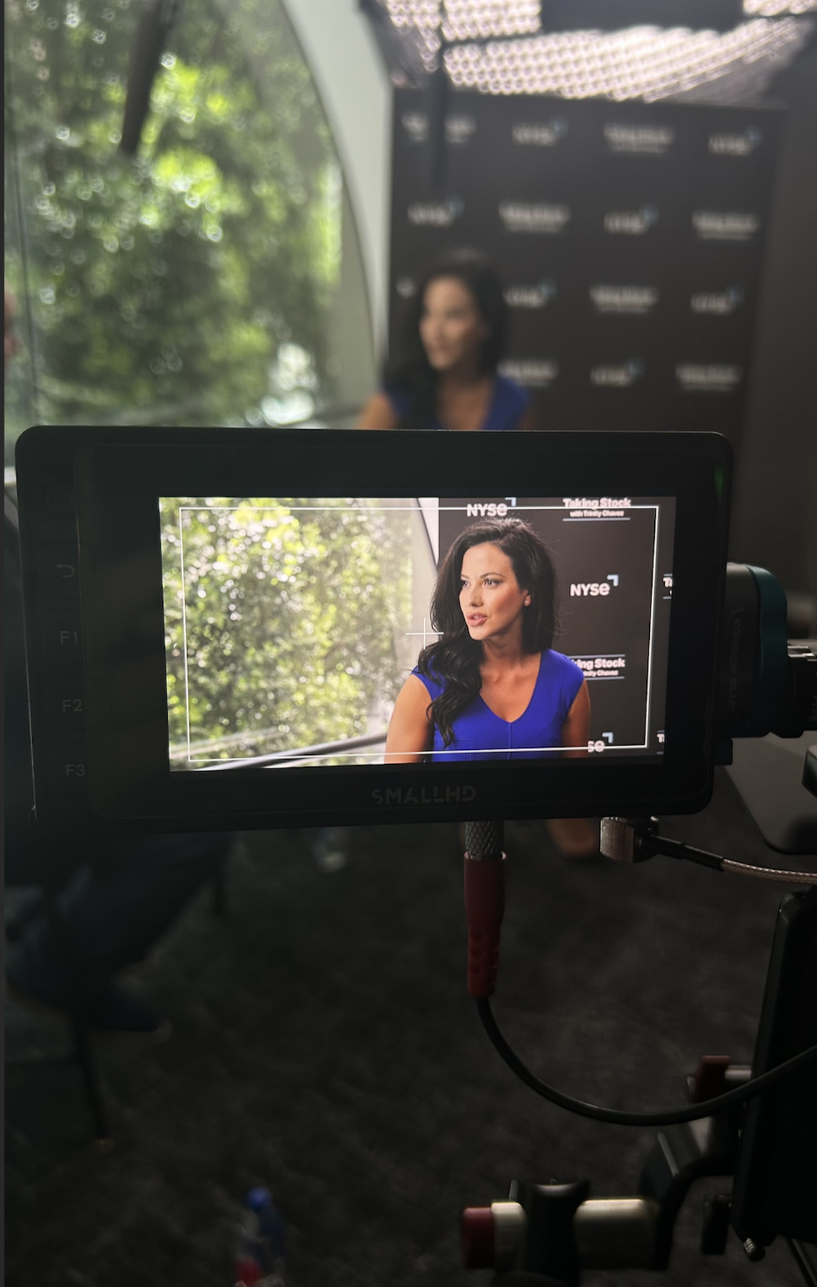 a woman in a blue dress on a monitor is conducting an interview