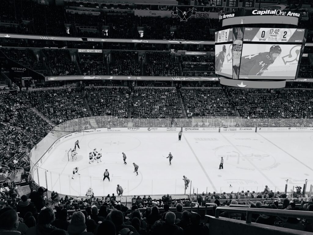 The crowd in a hockey game watching the current play