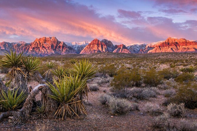 Las Vegas desert filming locations